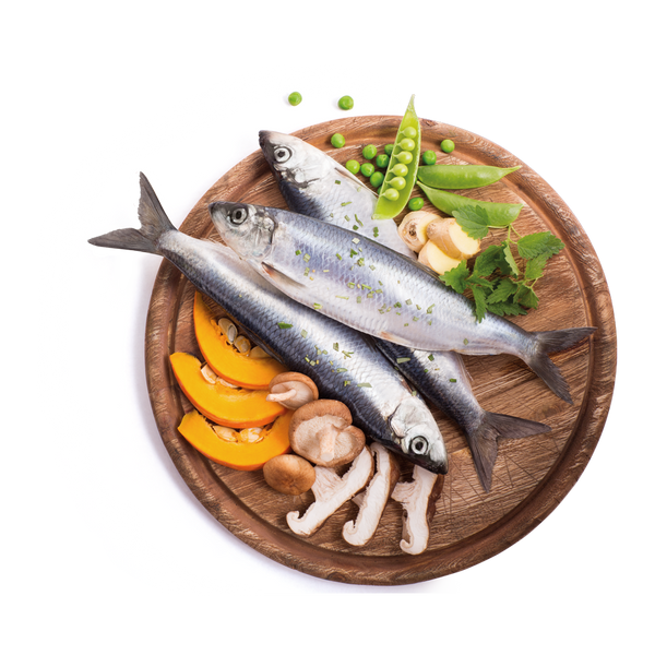 Purity Fish GRAIN FREE - puppy formula - dog food