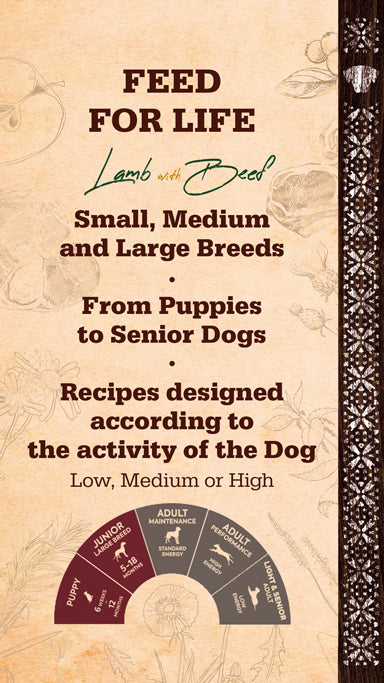 Maintenance Lamb & Beef - medium/maxi dog size - dog food